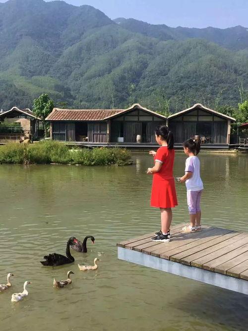 爱在青山绿水间