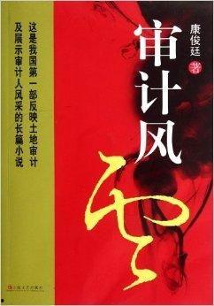 审计风云,揭秘企业财务真相的幕后英雄